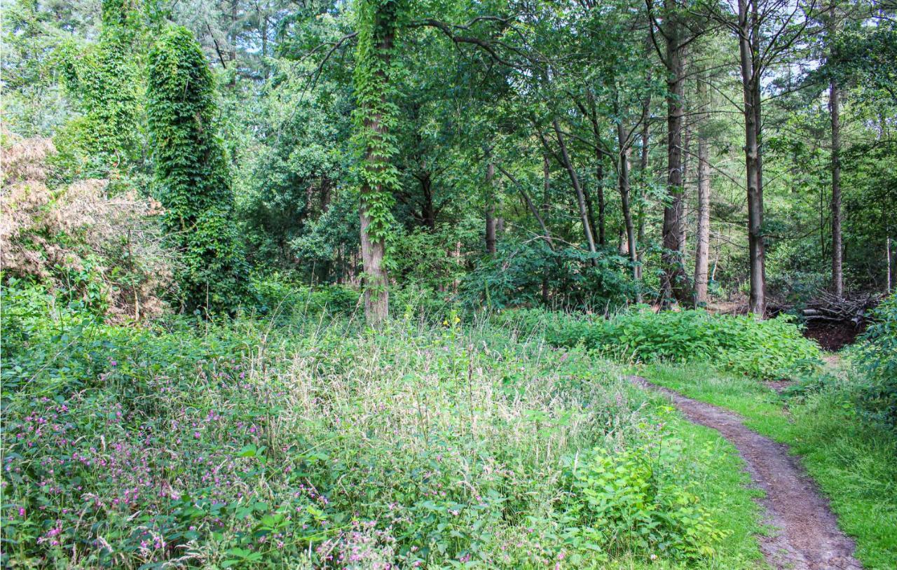 Huiske Oan T Bos Lage Mierde Buitenkant foto